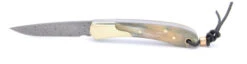 TwoSun Folding Knife Ox Horn Handle Damascus Plain Edge TS252-Horn -Twosun 51dc10a8 b050 4feb 9898 ab22aba90fd9 66499.1615569036