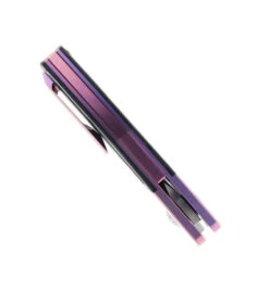 TwoSun Folding Knife Purple Titanium Handle D2 Clip Point Plain Edge TS154-Purple -Twosun TWOSUN 154 PURPLE 04 80323.1678466375